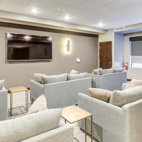 Everything within reach movie room with couches